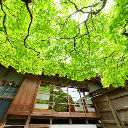 Okutama tours image 2