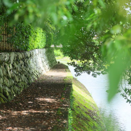 Okutama tours image 4