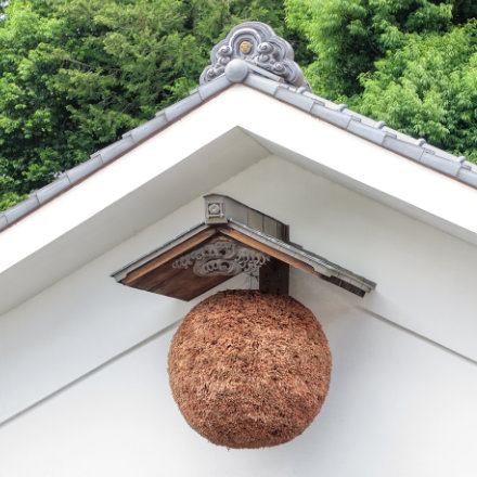 Okutama tours image 10
