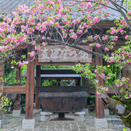 Okutama tours image 11